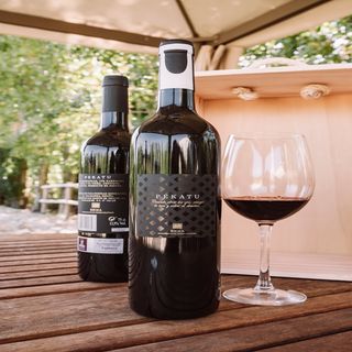 Vino Pekatu Rioja Crianza 75Cl