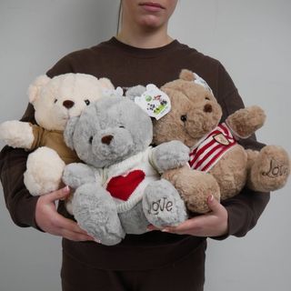 ведмідь 50 см