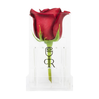 Rosa roja con caja acrílica