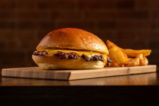 Cheeseburger 1 disco 100gr