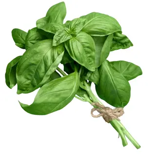Albahaca Manojo 50g