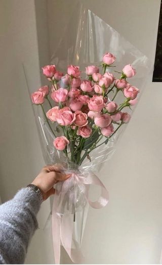 Spray roses in transparent packaging