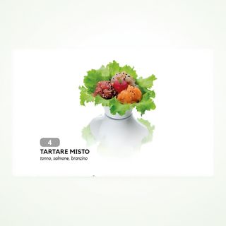 A4 Tartare misto