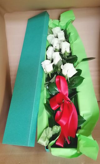 Caja 9 Rosas Blancas.