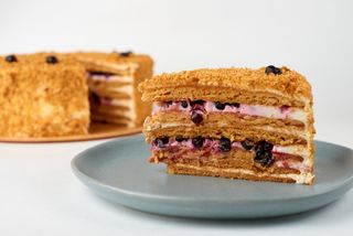 მედოვიკ მოცხარი