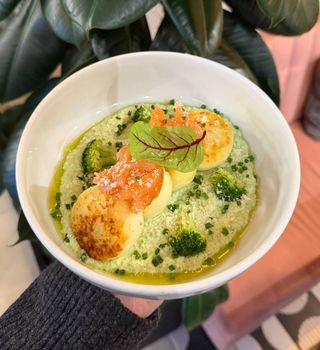 Serniczki w sosie brokułowym z łososiem