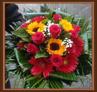 Per una laurea magnifica. 