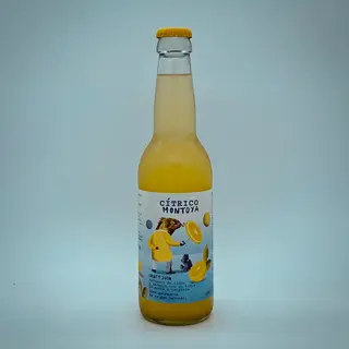 Limonada con toque de jengibre y menta - 33cl