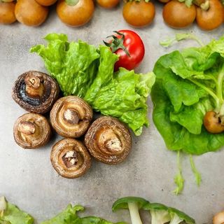 Սունկ խորոված