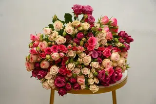 25 ტოტი სპრეი ვარდი