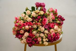 25 ტოტი სპრეი ვარდი