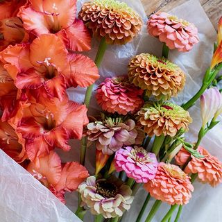 Ramo de flores variadas. 10 tallos