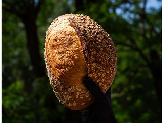 Хліб пивний