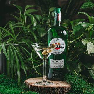 MARTINI VERMOUTH (100 ml)