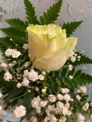 Una Rosa blanca decorada.