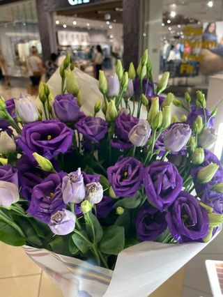 7szt - eustoma fioletowa