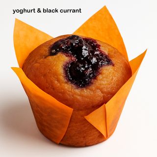 YOGHURT & BLACK CURRANT /იოგურტი და შავი მოცხარი