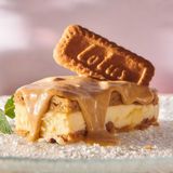 Lingotto Di Carota Y Lotus