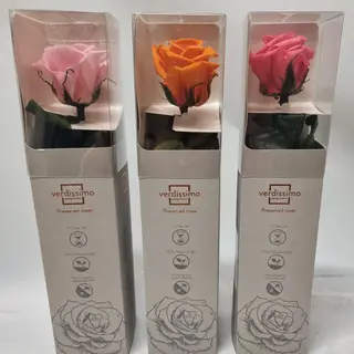 (1) Rosa stabilizata