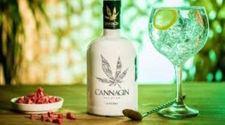 Gin Cannagin Premium 700ML