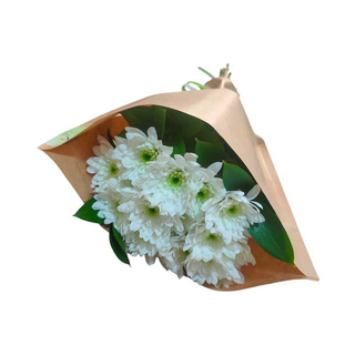 Margaridas Brancas