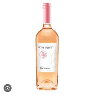 Aglianico rose