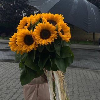 Bukiet słonieczniki