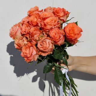 Ramo de 15 Rosas Julischka Sien