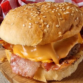 Hamburger succulent singolo CodArt 66