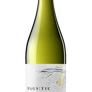 Magnetic Blanc