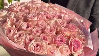 Bukiet Pink Rose, rozmiar XL, 50 różowych róż