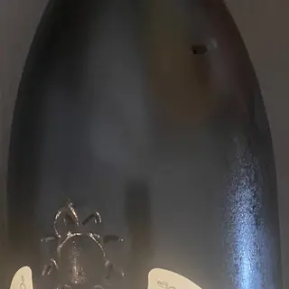 Vino Pecorino Pasetti 75 cl