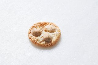 Galletas Craquiñolis