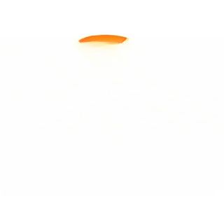 Fanta Citron 33cl