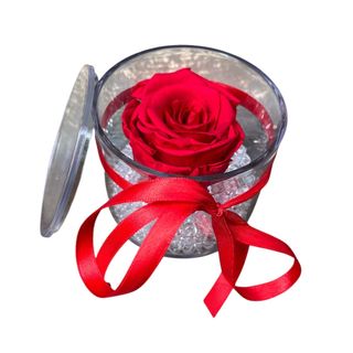 Rosa  vari colori stabilizzata in cubo dí plexiglas