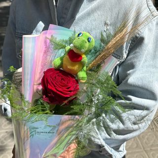 Rosa Sant Jordi - Dractastic