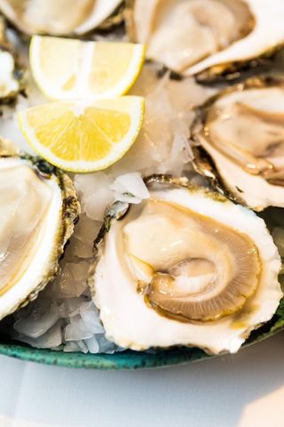 Ostra Gallega (1 Ud.)