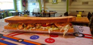 Macrobikini americano de pollo (52 cm.)