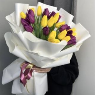 31 lalele galben și violet