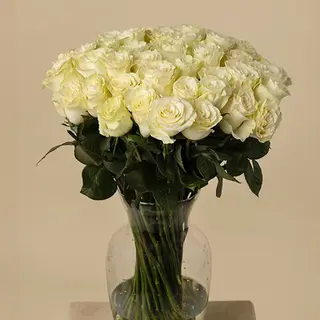 Ramo de 50 rosas blancas frescas