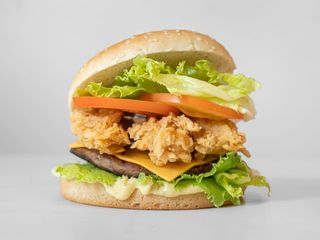 Panino Chicken & Beef Burger