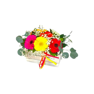 Caixa com Gerberas Mix