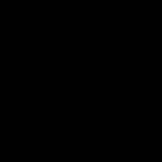 GUNKAN GAMBERI COTTI