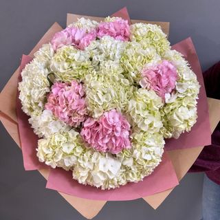 Ramo de 21 hortensias 