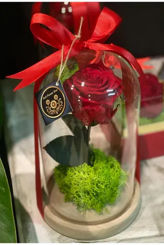A Rosa Encantada