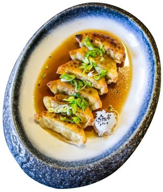Kamo Gyoza