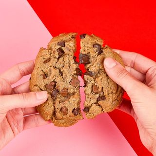 (NEW!) Hideout Chocolate Cookie!