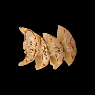3.Gyoza 5pz