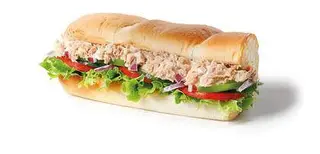 Tuna - 6 inch