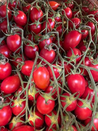 Pomodoro picdilly - gr. 500